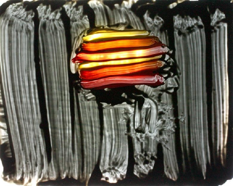 content/Works/2012/(3)Fighting_colours