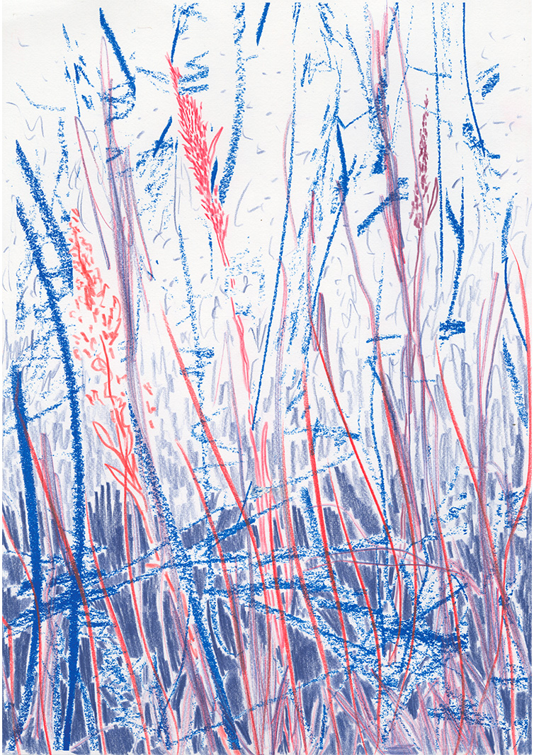 content/Works/2025/(2)Bilderkosmos_Lichtwiese