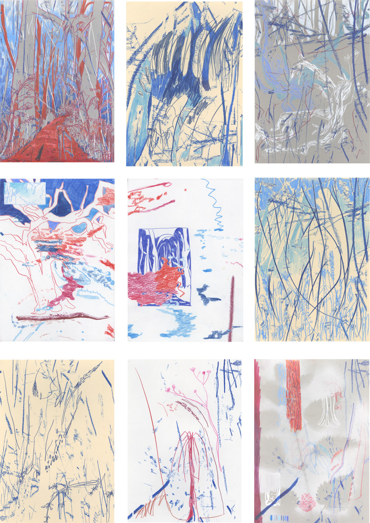 content/Works/2025/(2)Bilderkosmos_Lichtwiese